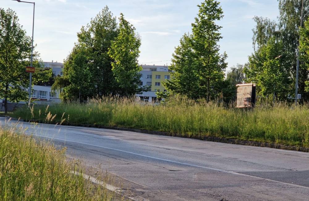 Foto: Motoristi sa v lete sťažovali na neprehľadné križovatky v Žiline. Mesto tvrdí, že zeleň pravidelne udržiava