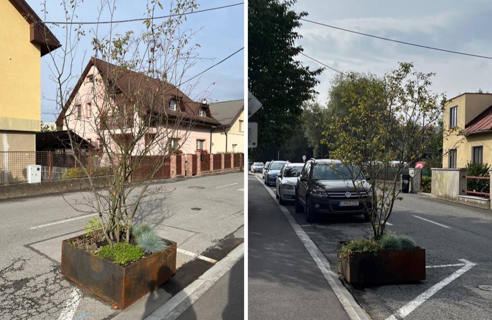 Foto: Mesto Žilina poskytlo súkromnej firme dotáciu 1000 eur na nákup dvoch kvetináčov s drevinou