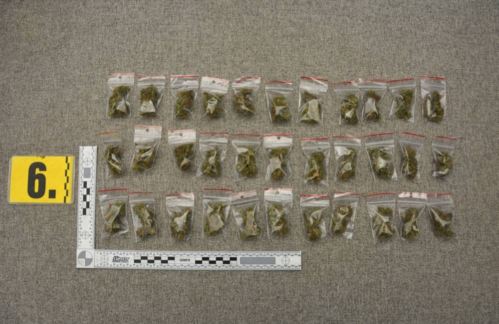 Foto: Kriminalisti obvinili 25-ročného muža zo Žiliny, našli mu 158 jednotlivých dávok marihuany