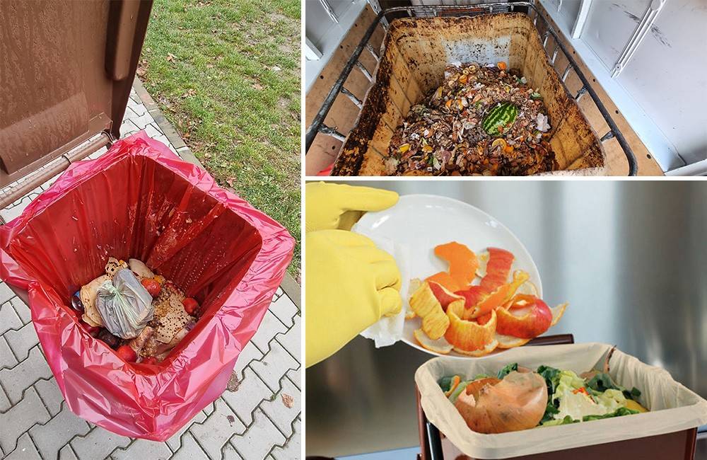 Foto: Recyklovanie bio-kuchynského odpadu bez starostí a za najnižšiu cenu? Ukážeme vám, ako na to!