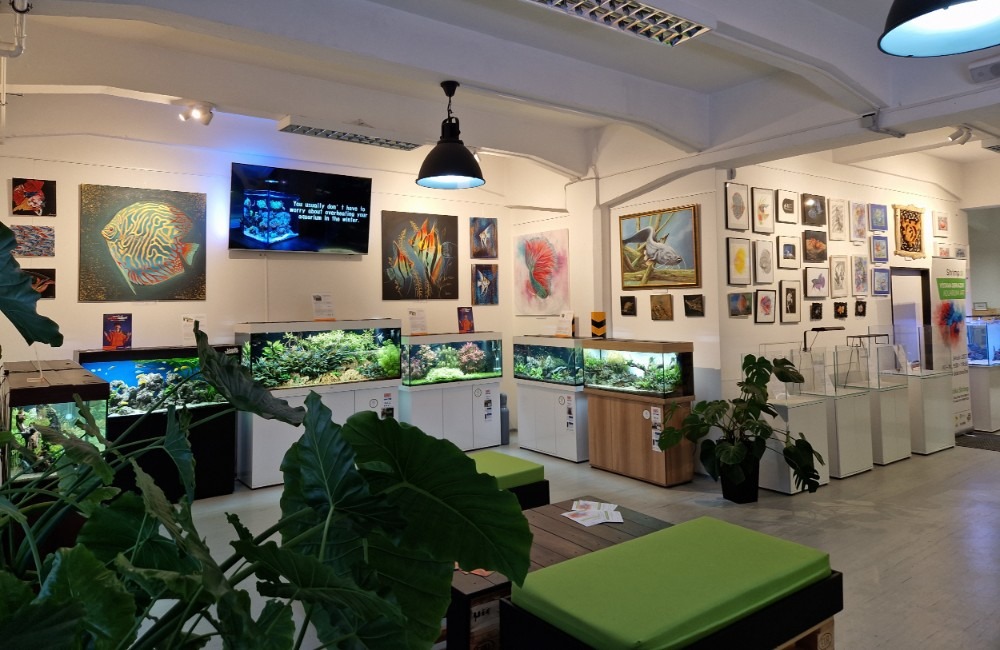 Foto: V Žiline otvorili unikátnu výstavu obrazov s akvaristickou tematikou, vystavené diela si môžete aj kúpiť