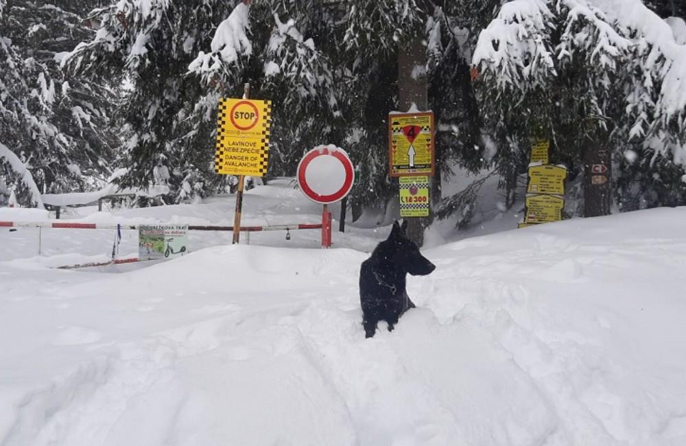 Foto: V horách Žilinského kraja dnes platí až 4. stupeň lavínovej hrozby, sneh sa uvoľňuje samovoľne