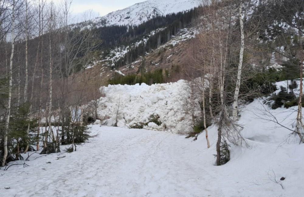 VIDEO: Na cestu k obľúbenej Žiarskej chate spadla lavína, smerujú tam horskí záchranári so psom