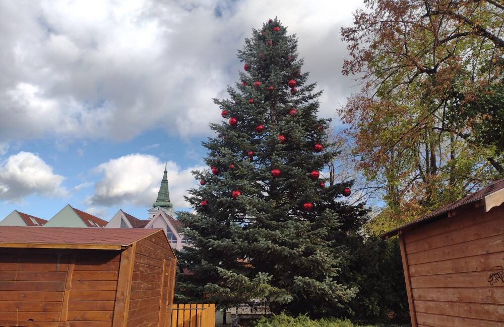 FOTO: Na Mariánskom námestí už stojí vianočný stromček, 14-metrovú jedľu darovali Žilinčania