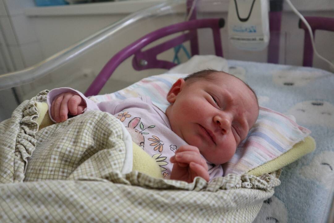Prišli na svet v unikátny deň, 29. februára sa v žilinskej nemocnici narodili štyri bábätká