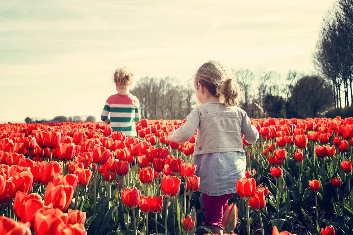 Tešíte sa na samozbery? Pri Žiline si môžete z poľa odniesť farebné kytice tulipánov, príďte aj s deťmi