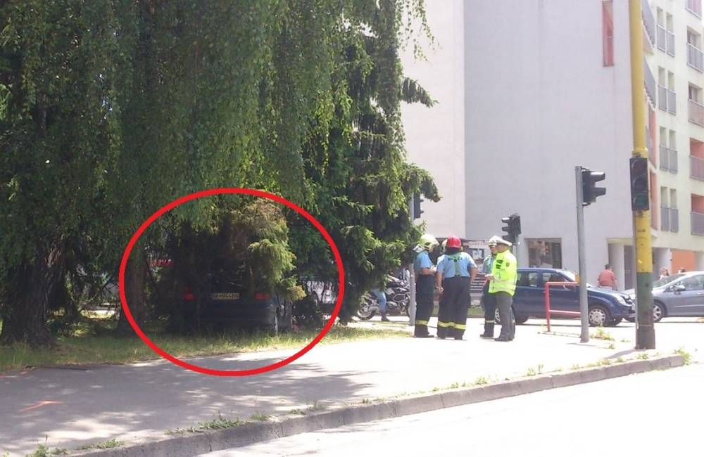 Foto: Na Komenského ulici skončilo auto v strome