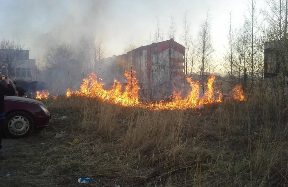 Foto: Požiar trávnatých plôch na Hájiku