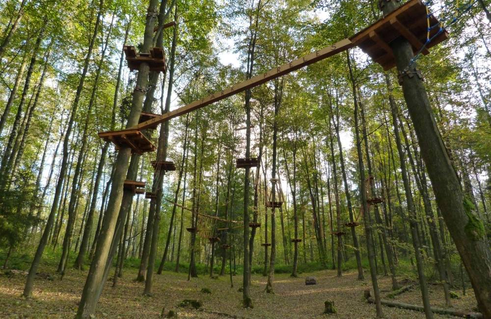 Foto: V sobotu otvoria nový lanový park Preles v Lesoparku Chrasť