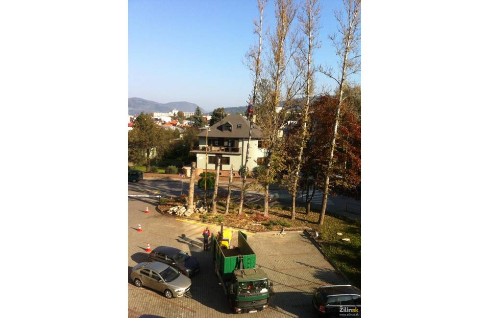 Foto: Zrezané stromy pri úrade ŽSK nahradia nové