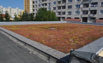 ZŠ Gaštanová má jedinečný projekt zelenej strechy