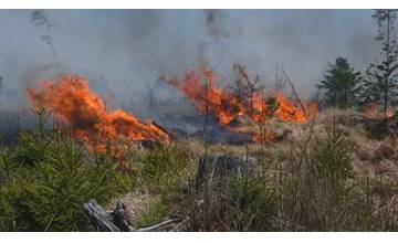 Po včerajšej búrke začalo horieť v lese nad Tepličkou nad Váhom