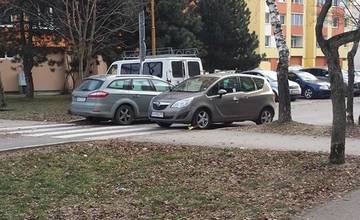 Tento vodič si s parkovaním ťažkú hlavu nerobí, skončil na priechode v strede cesty ale s papučou