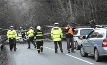Dnes zasahovali hasiči pri 5 spadnutých stromoch