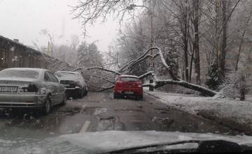 Na ulici Matice Slovenskej spadol na cestu strom, zasiahol aj auto