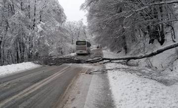 Hasiči zasahovali pri spadnutých stromoch v noci celkom 5 krát