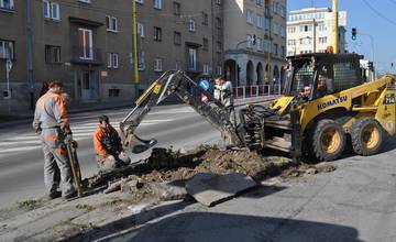 Na Veľkej okružnej ulici vzniká nové stromoradie
