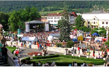 V Žiline je ku koncu júla stále viac žien, najvýraznejšie odchýlky sú v poproduktívnom veku