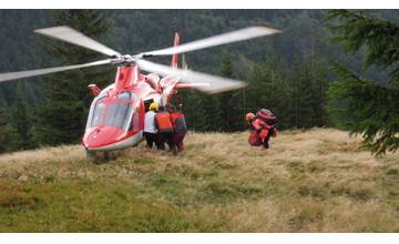 78-ročného muža zasiahol padajúci strom, do nemocnice ho prevážali leteckí záchranári