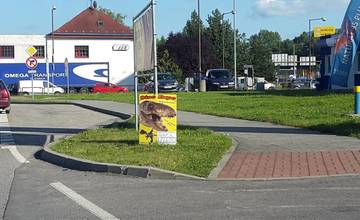 Po meste sú opäť rozmiestnené kartónové reklamné pútače