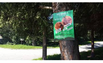 Reklamy na reštauráciu v Zbyňove sú priskrutkované k stromom v Žiline