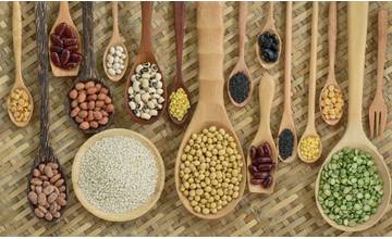 Najkvalitnejšie zdroje proteínov z rastlinnej ríše