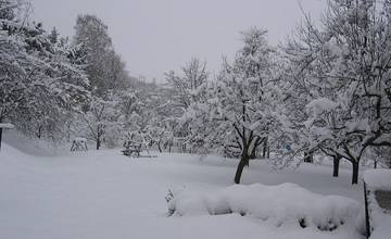 SHMÚ varuje pred snežením, napadnúť by mohlo až 50 centimetrov nového snehu