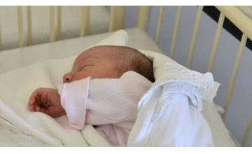 Prvým tohtoročným novorodencom v žilinskej nemocnici je dievčatko Lilien