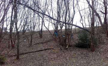 Na Solinkách sú pri ceste zlomené stromy, s odstránením môže byť problém, pozemky nie sú mestské