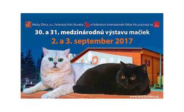 30. a 31. medzinárodná výstava mačiek prebehne 2. až 3. septembra 2017 v hale Tennis Point