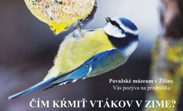 Považské múzeum v Žiline pozýva na prednášku: Čím kŕmiť vtákov v zime