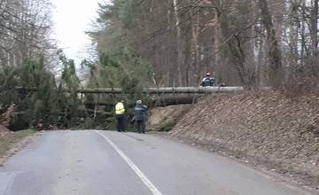 Cesta do Hôrok je uzavretá pre spadnutý strom, policajti odkláňajú dopravu pri sídlisku Hájik