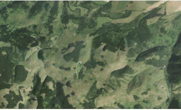 V synagóge budú v stredu 24. januára diskutovať lesníci a ochranári na aktuálne spoločenské témy