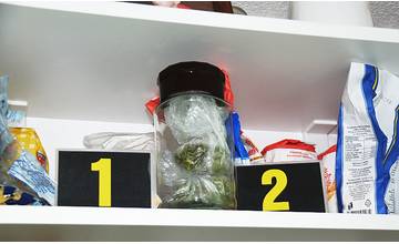 31-ročný muž z Liptova prechovával doma viac ako 100 gramov marihuany, hrozí mu 10 rokov väzenia