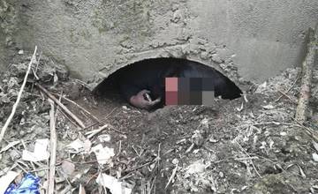 Policajti, hasiči a záchranári pomáhali žene, ktorá uviazla v šachte pri Brodne