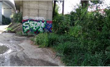 50-ročná žena spadla do bahniska a zaborila sa až po hrudník, vyslobodili ju mestskí policajti