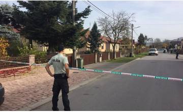 Sudca rozhodol o vzatí do väzby Samuela, ktorý nafetovaný vraždil sekerou v Kotešovej