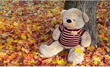 Žilinský kraj zorganizoval okrem pomoci cez svoju nadáciu aj zbierku hračiek pre deti