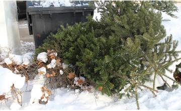 Od pondelka začne zber vianočných stromčekov, v Žiline ho môžete odzdobený odložiť pri kontajneroch