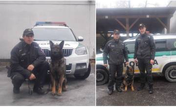 Policajný pes Oldo Šťastena ráno vypátral zlodeja, ktorý vykradol potraviny v Zborove nad Bystricou