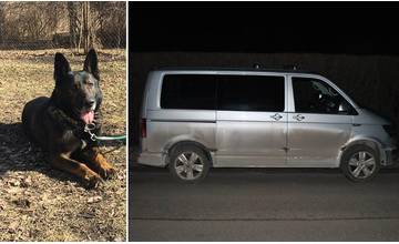 Policajný pes Zambor pomohol vypátrať 23-ročného Poliaka, ktorý šoféroval a poškodil cudzie auto