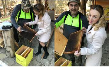  Starostka obce Povina darovala dorovnanie mzdy včelárom na Kysuciach, ktorí za to kúpia úľ