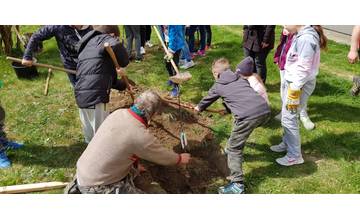 Deti zo základnej školy v Predmieri sadili stromy, zážitkové sadenie pripravilo združenie Zalesňuj