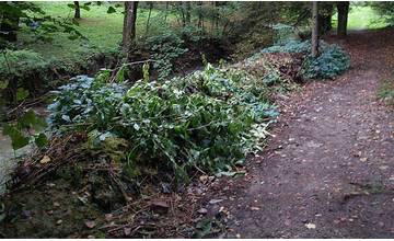 V mestských častiach sú na brehoch potokov skládky odpadu, mesto žiada občanov o ich odstránenie