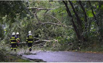 V súvislosti s búrkami vykonali hasiči 196 výjazdov, v Žilinskom kraji odstraňovali spadnuté stromy