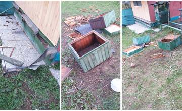 Včelín pri Stráňavach opakovane navštívil medveď, rozbiť sa mu podarilo dva úle