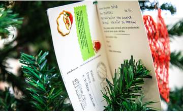 Stromy splnených prianí budú aj tento rok v Žiline robiť Vianoce krajšími deťom či dôchodcom