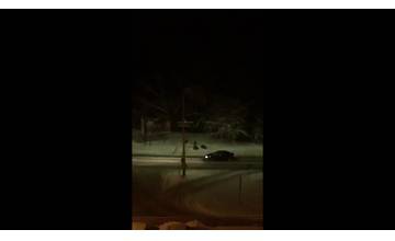 VIDEO: Na Hájiku sa opäť pohybovala skupina diviakov blízko cesty