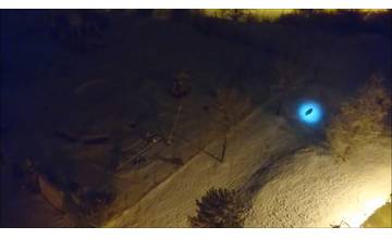 VIDEO: Na sídlisku Hájik sa voľne pohybujú srnky aj diviaky, ľudia ich majú denne pod oknami