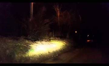 VIDEO: Diviaky na hlavnej ceste v Trnovom